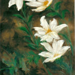 FLORES thumbnail 2