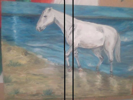 Tara de la obra...
