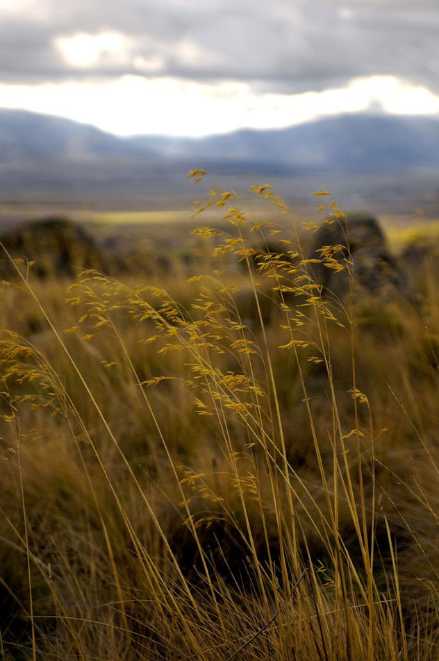 Por tierras avulenses 3