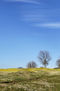 la primavera