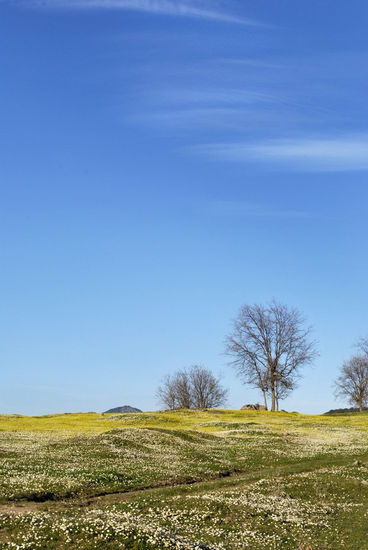 la primavera 