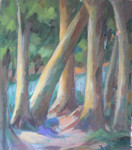 El bosque