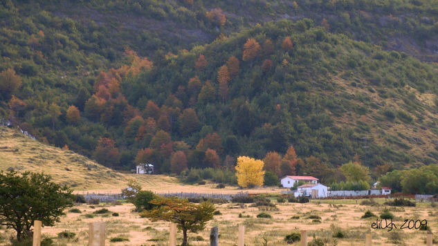 El Amarillo Naturaleza Color (Digital)