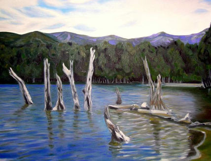 Parques de chile