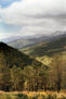 Paisaje vertical
