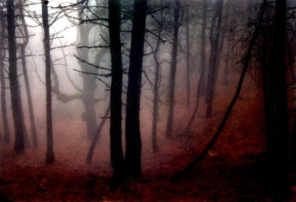 La niebla