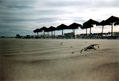 Invierno en la playa