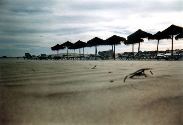 Invierno en la playa 