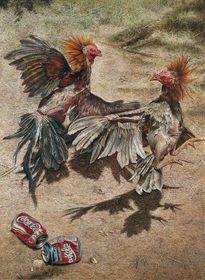 Pelea de gallos