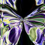 MARIPOSA