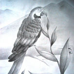 Animales thumbnail 2