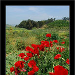 2. PAISAJES Naturales thumbnail 1