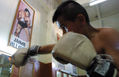Niños Boxeadores