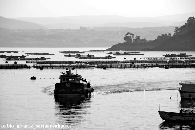 BARCO A PUERTO 