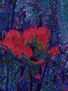 amapola nocturna.