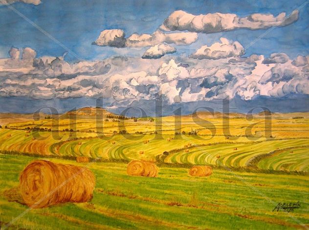 Campos de trigo. Acuarela 32x41 cm.