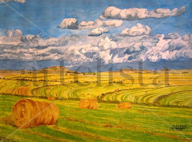 Campos de trigo. Acuarela 32x41 cm. 