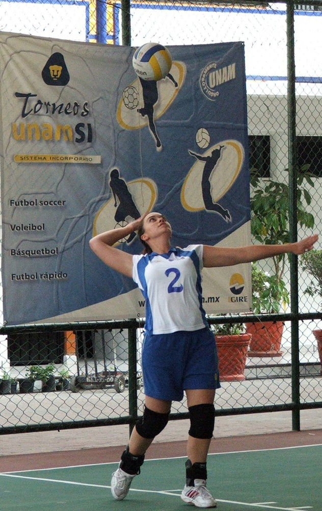 Voleibol