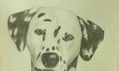 Perros