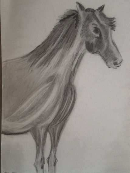 Caballo melancólico