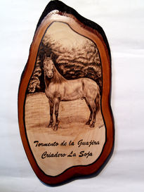 Tormento de la Guajira