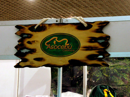 Asocebu
