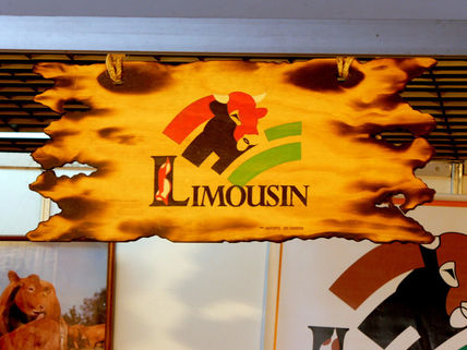 Limousin