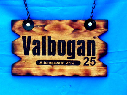 Valvogan