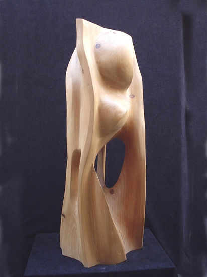 "Cóncavo-convexo" Wood Abstract