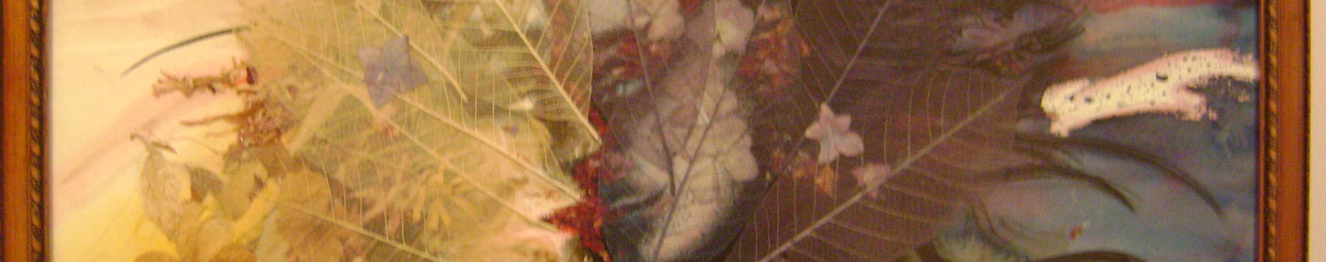 Imagen de portada