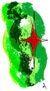 Estrella