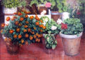 Atmósfera mágica entre las flores