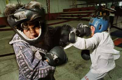 Niños Boxeadores 