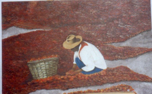 GRACIAS PACHAMAMA
