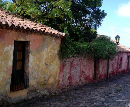 Colonia 1