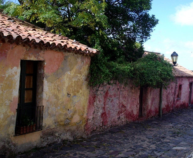 Colonia 1
