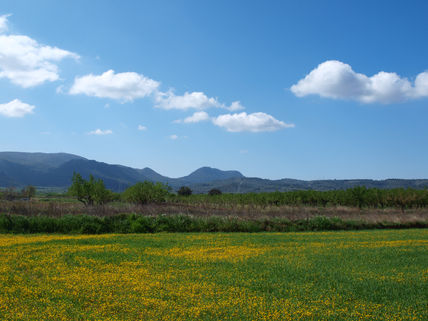 Lugar