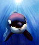 Orca en Patagonia