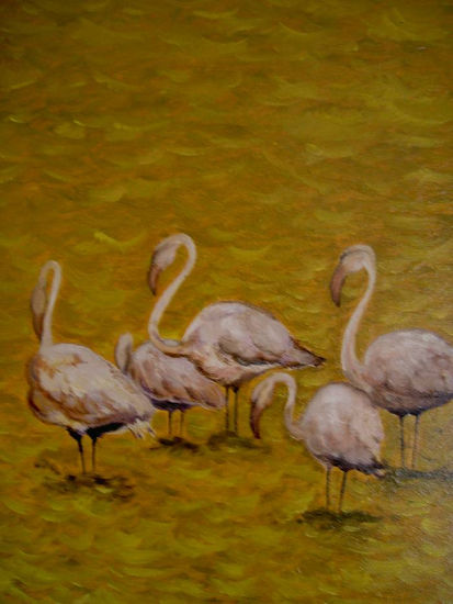 Flamencos Oil Canvas