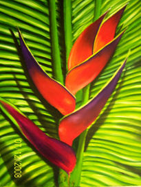 Heliconia