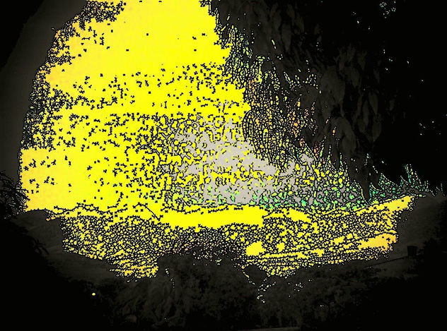 TERRA EN AMARILLO