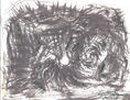 THE BITE OF THE LION