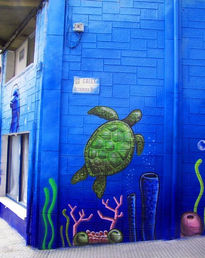 TORTUGA GRAFFITI...