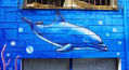 delfin graffiti www.muralista.es