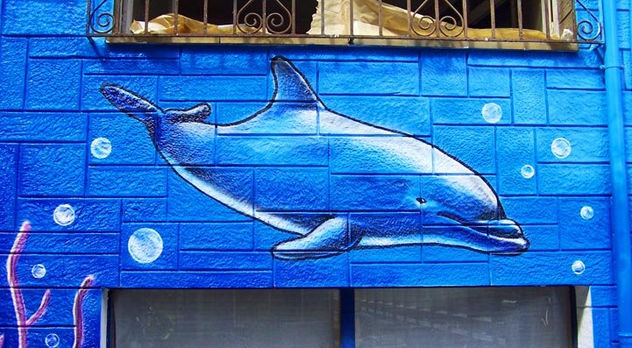 delfin graffiti www.muralista.es
