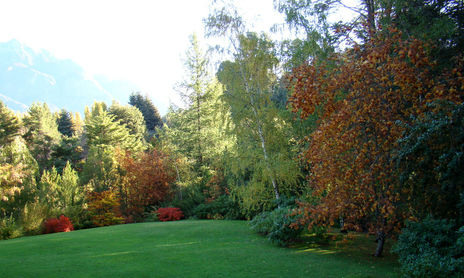 SERIE OTOÑO
