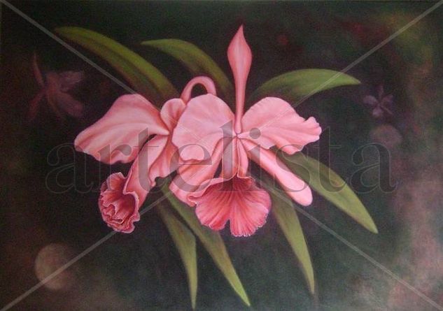 De la serie Orquídeas Oil Canvas Landscaping