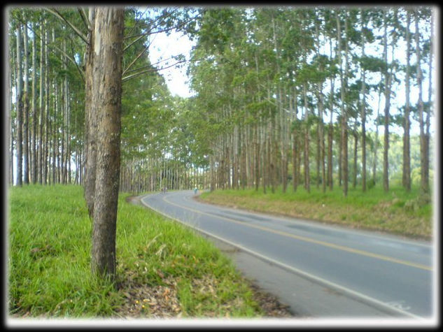 Guardianes del camino 