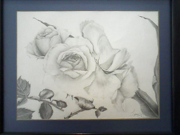 ROSAS-LiAN3 Pencil