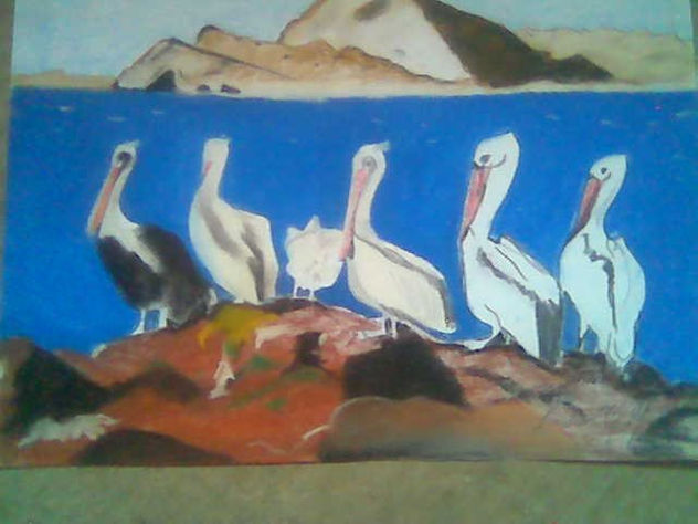 PELÍCANOS EN GUAYMAS